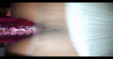 手机小视频 第564集