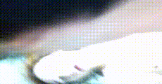 手机小视频 第1363集