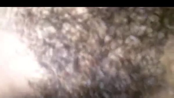手机小视频第1859集