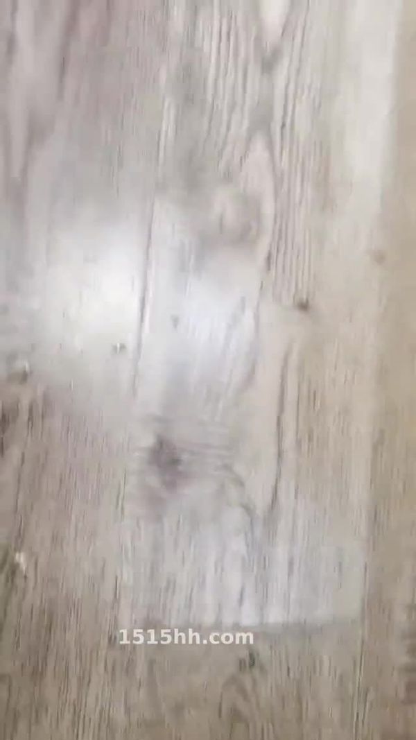 羞答答的玫瑰 20210609