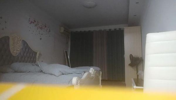 探花系列 李总探花 啪啪 20220515