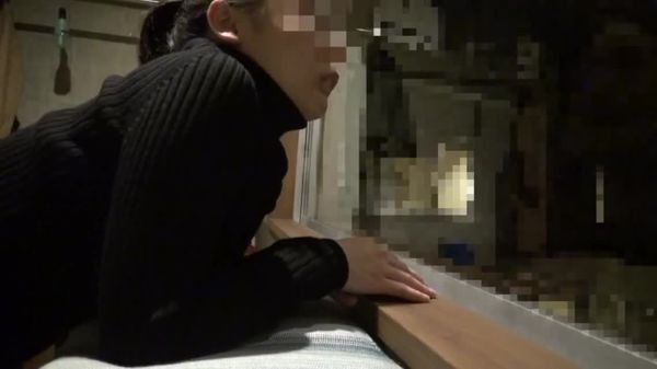 奴隶女社长的家畜调教记录sthtp-45