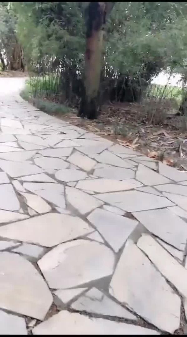 业女找兼职面试!野外怕被看回家继!续玩