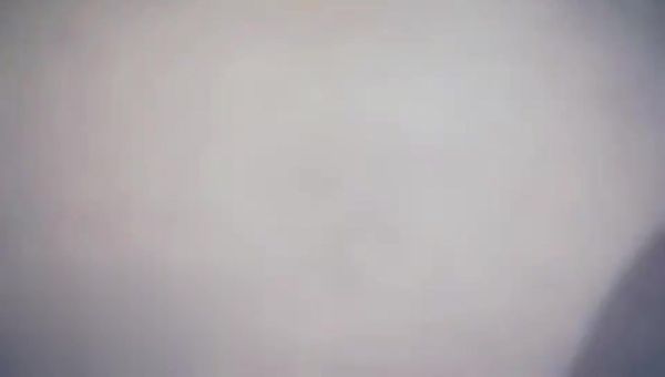 !长相文静马尾辫妹子,特写深喉硬了直接抱起来操,拉着双手后入撞击屁股!, 妹子被操的呻吟连连