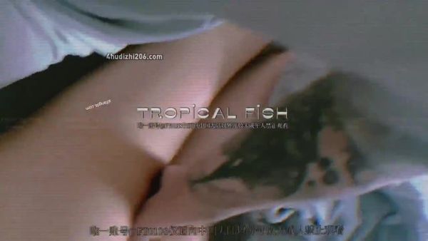 看178一根手指就可以全自动 (new)