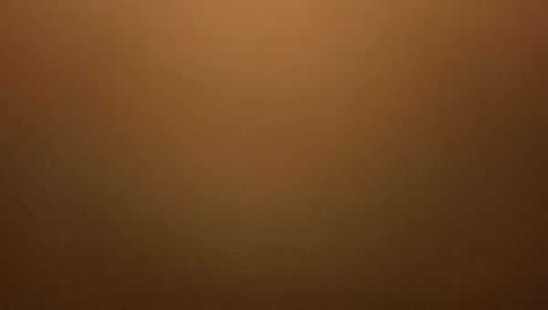 探花 凤鸣鸟唱花探 20220710期