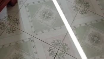 又是陪嫂子谈心的一天，就算大哥在家，她也希望我能陪她几天