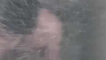 母狗求我尿她脸