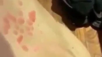 117清纯校花调教记：舔脚跪爬尽显母狗本色