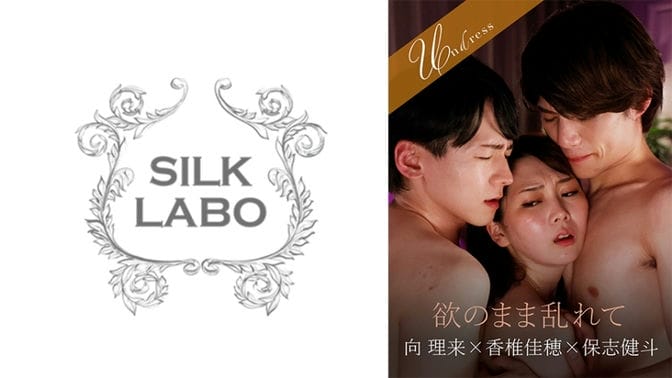 SILKU 101 SILKU 101被贪婪所困扰、向井力、星贤人、香椎佳穗 向理来
