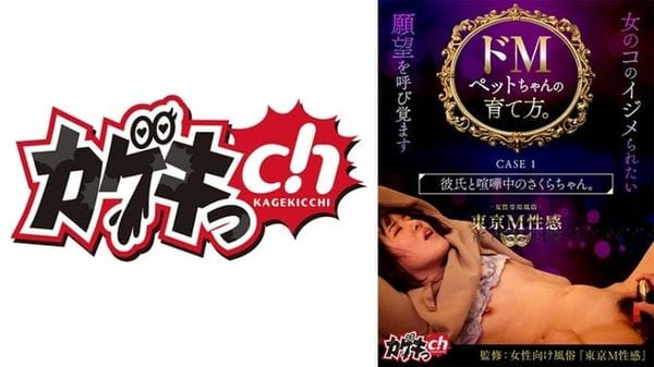 GRMO 159 GRMO 159如何饲养超级受虐狂宠物。案例1小樱正在和男友吵架。