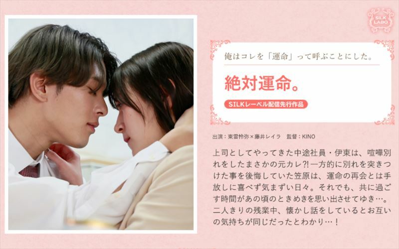 SILKS 117 SILKS 117绝对的命运。 藤井レイラ