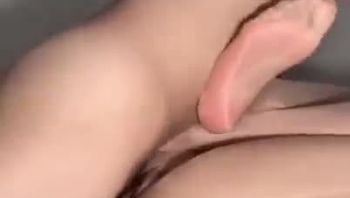 绿帽的飞机杯